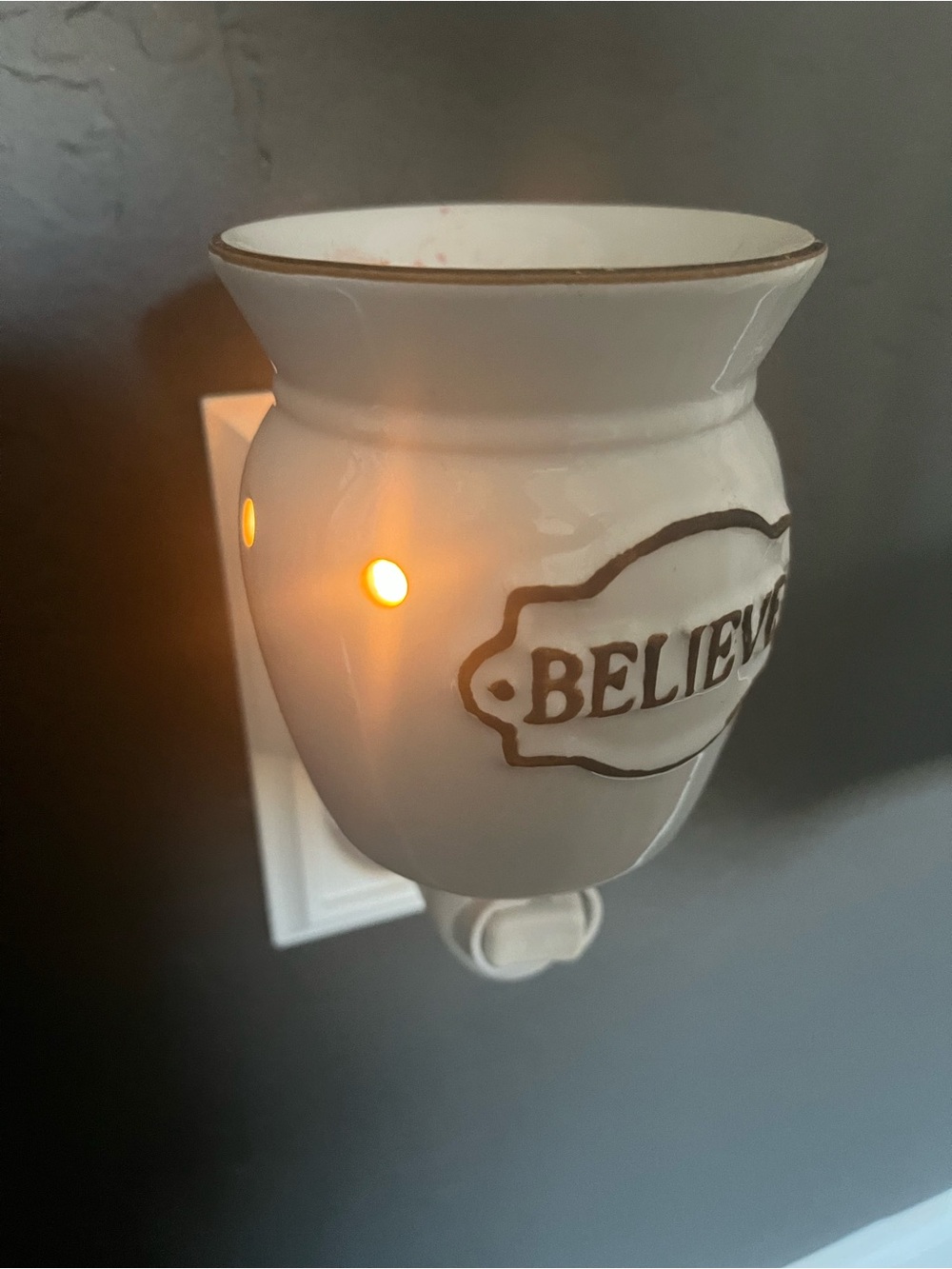 Scentsy Wax Warmer / Scentsy Plug In Wax Warmer